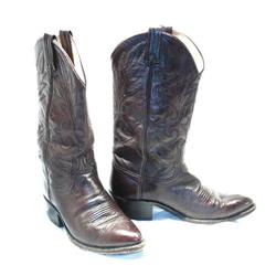 Dark Chocolate Brown Dan Post  Cowboy Boots #1848353
