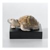 Image 1 : Lladro - Tortoise #1875746