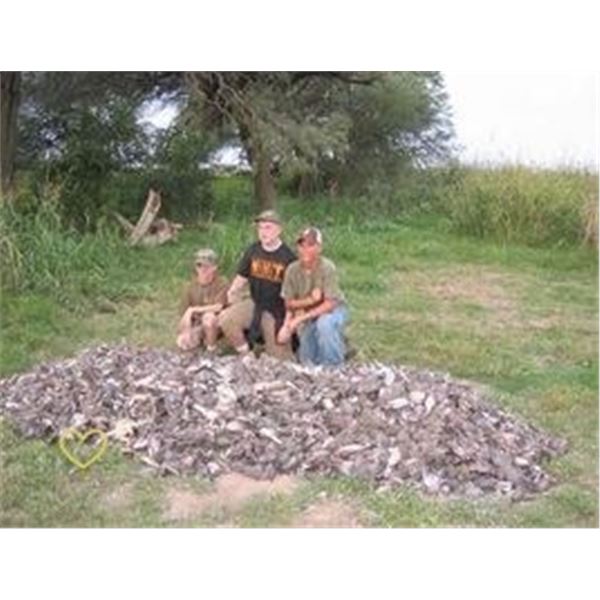 Dove Hunt by HP Wingshooting Adventures