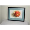 Image 1 : SOYUN YIM WATERCOLOR, "APPLE CUT INTO 3RDS"; SIGNED (FRAMED 9" X 11 1/4")