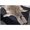 Image 1 : ZEBRA SKIN RUG