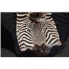 Image 2 : ZEBRA SKIN RUG