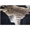 Image 3 : ZEBRA SKIN RUG