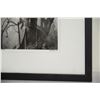 Image 2 : SHUZO UMEMOTO PHOTOGRAPH, "ZEN TALES"; SIGNED (FRAMED 8 3/4" X 10  3/4")