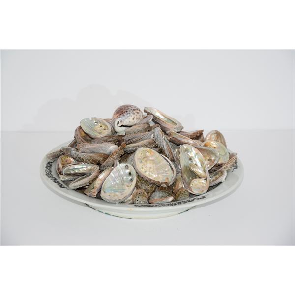 COLLECTION OF ABALONE SHELLS, COWRIE SHELL &  CERAMIC PLATTER