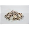 Image 1 : COLLECTION OF ABALONE SHELLS, COWRIE SHELL &  CERAMIC PLATTER