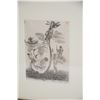 Image 2 : ISAMI DOI BOXWOOD CUT, "ABSTRACT MANDOLIN"; SIGNED (FRAMED 8.5" X 10")