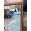 Image 5 : Full Length Rectangular Mirror 24x54 from Four Seasons Resort Lanai (decomissioned during one of the