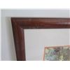 Image 3 : Framed Photographic Art: Coral, Signed 17 x 20.5
