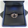 Image 1 : Wing Spirit Logo Pin in Case