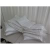 Image 1 : Qty 12 Pillows -Sealed In Plastic