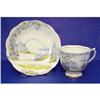 Image 1 : Royal Albert Cup & Saucer ROSEDALE #1874025