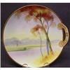 Image 1 : ANTIQUE HAND PAINTED PLATE - NIPPON #1874094