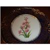 Image 1 : Paris Porcelain Botanical Plate #1885970