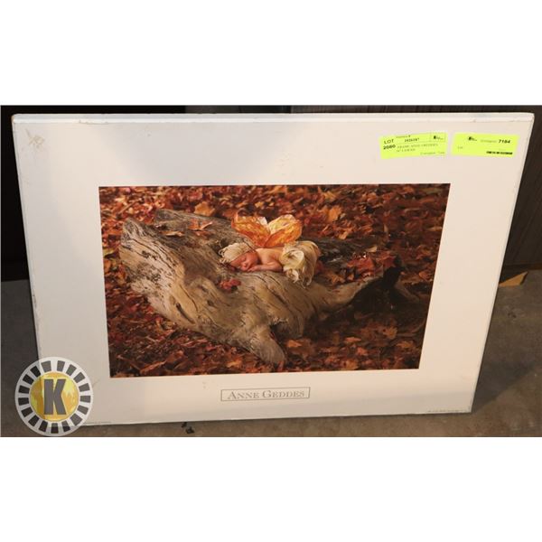 PICTURE FRAME ANNE GEDDIES 20"X.5"X16" LXWXH