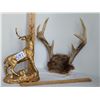 Image 1 : Gold cast of an Elk and a small set of Deer Antlers.