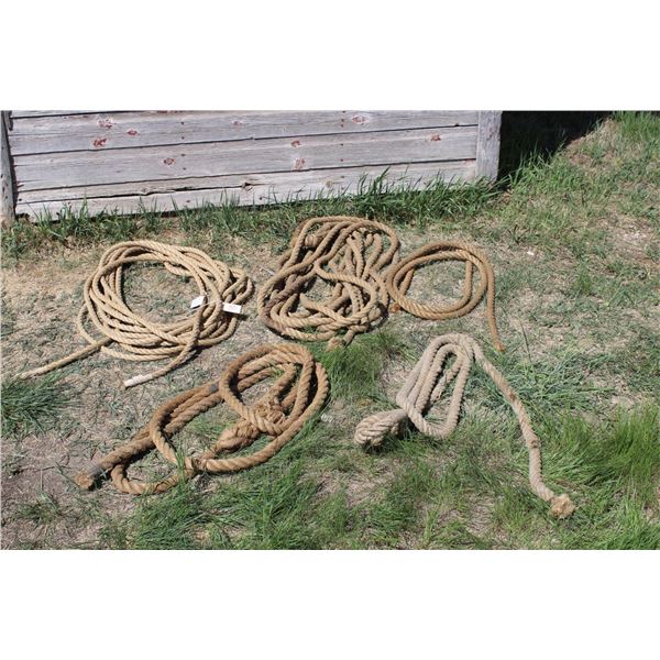 Manilla Rope (one is 55ft long) and Misc Rope