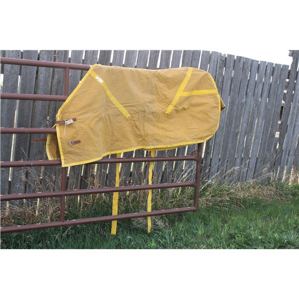 Horse Blanket