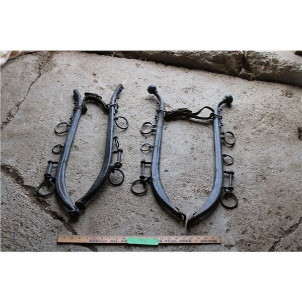 (2X THE MONEY) Horse Haines 2 Pairs