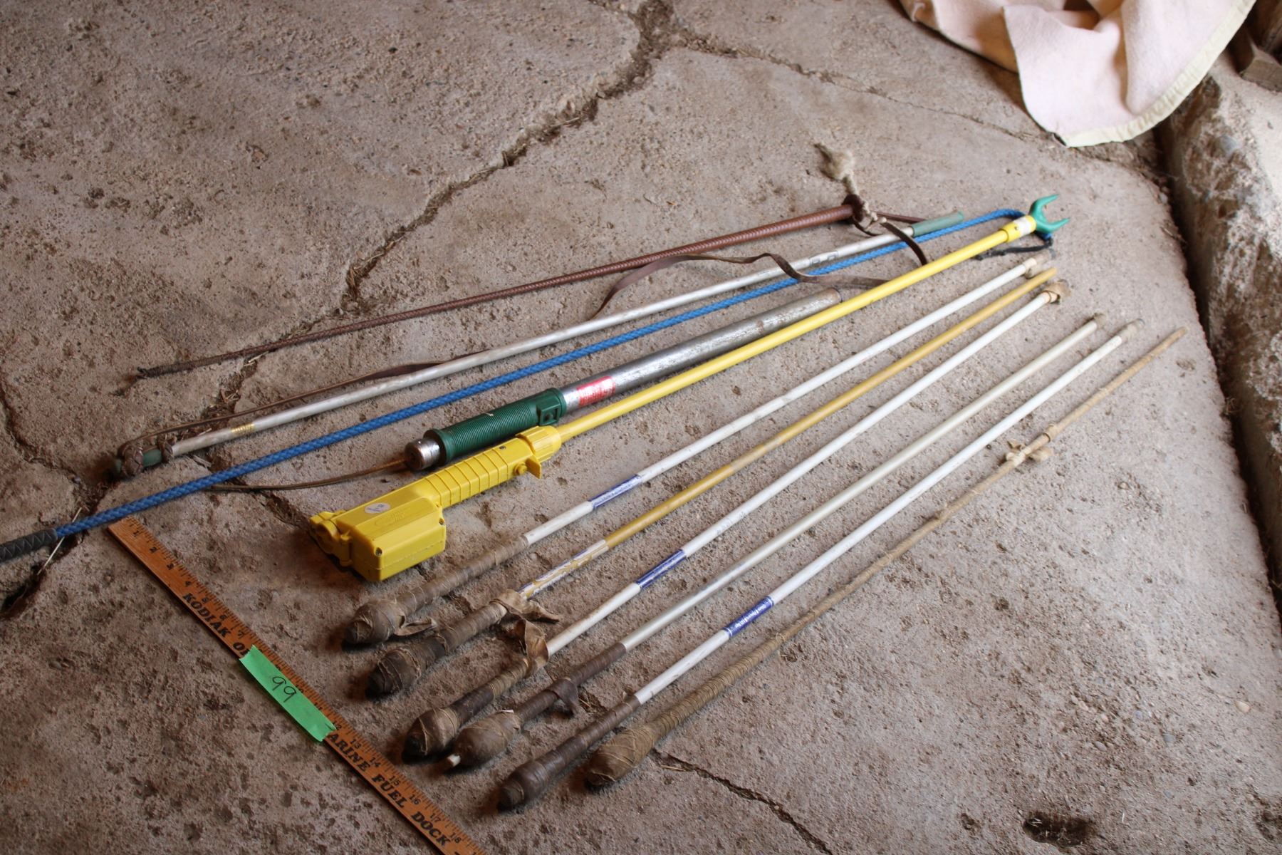 Cattle Prods And Cattle Whips