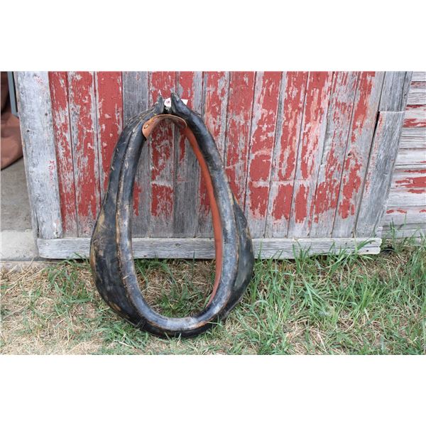 Horse Collar 25"