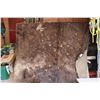 Image 1 : Horse Hide? 5 ft 6" x 6ft approximate