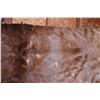 Image 4 : Horse Hide? Robe 4ft 8" x 5ft 7"