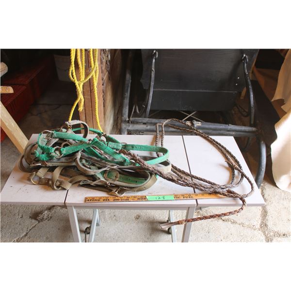 (5) Halters and Braided Shank