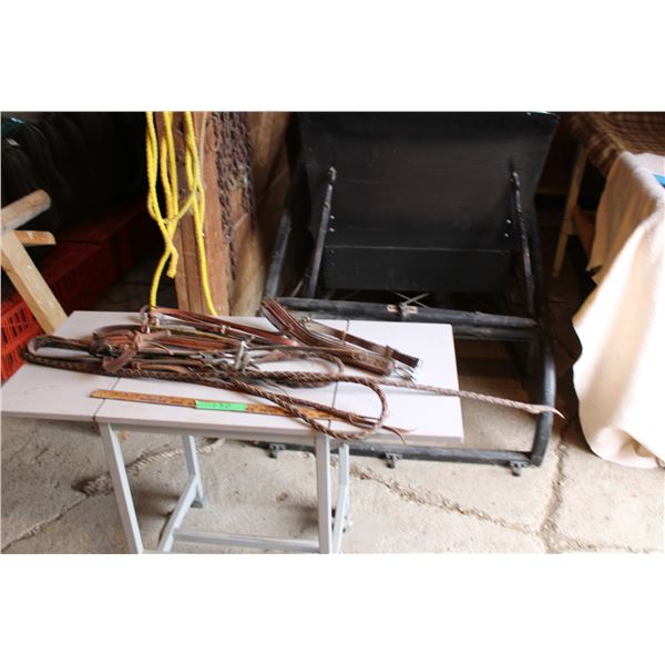 Tie Downs and Bridle
