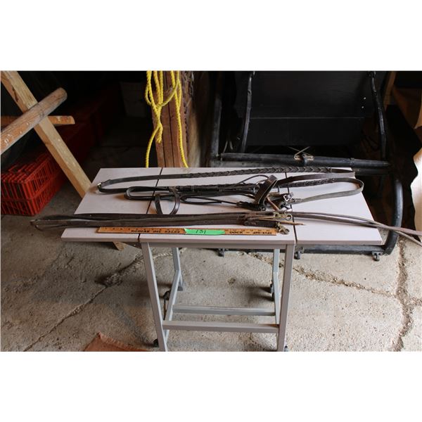 Snaffle Bit with Reins