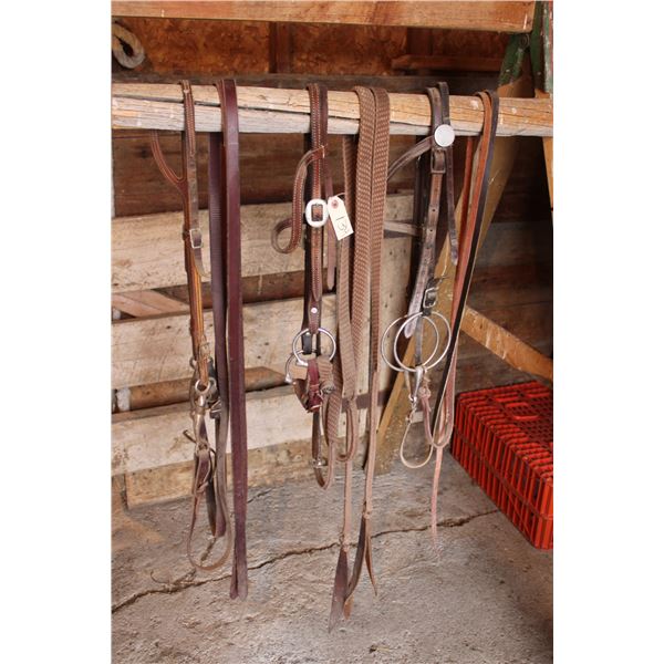 3 Bridles