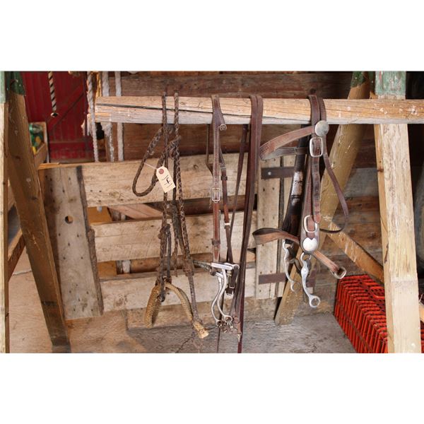 Hackamore, Hackmore Bit, Vintage Bridle