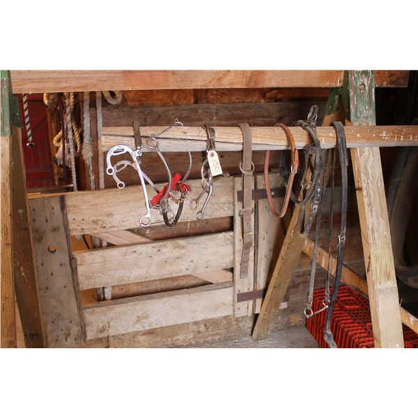 Bridle Hardware