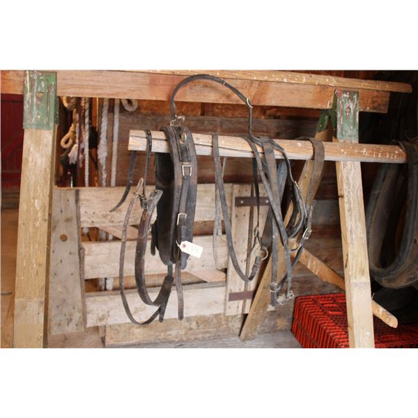 Single Driving Harness