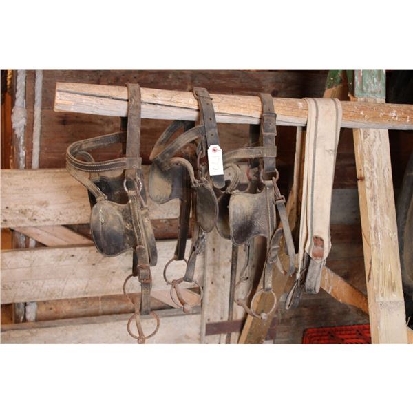 Bridles