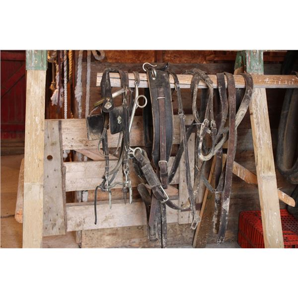 Solid Nickel? Hardware Single Driving Harness