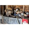 Image 7 : Lot of Contents In Shed Scrap Iron Tools Misc Items Pails of Bolts Esso Containers B/A Garbage Barre