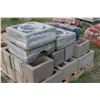 Image 3 : Pallet of Cinder Blocks