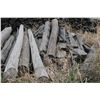 Image 1 : Used Fence Poles 6" (Approx 15+ Poles)