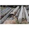 Image 2 : Used Fence Poles 6" (Approx 15+ Poles)