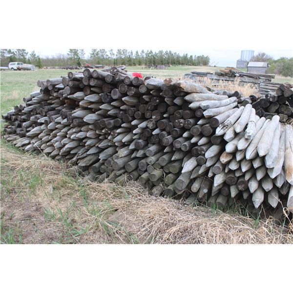 Used Fence Poles (Approx 300+) Some Poor Condition