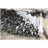 Image 2 : Used Fence Poles (Approx 300+) Some Poor Condition