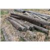 Image 1 : (20+) Power Poles 7" Wide