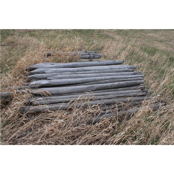 Fence Poles (30+ Pieces) Some Poor Some Good 3" Diameter