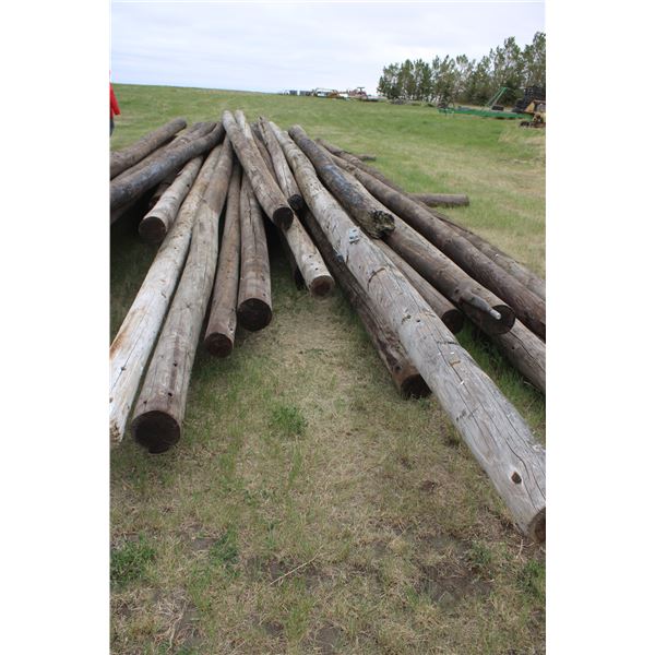 (22X THE MONEY) Telephone Poles