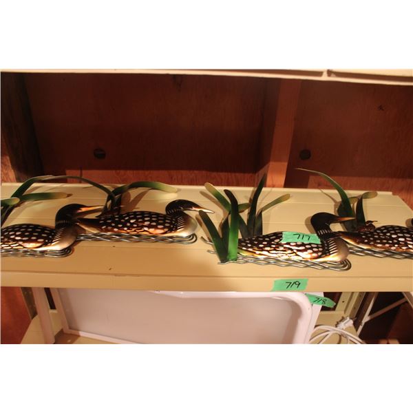 Ornamental Loons (Birds)