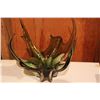 Image 3 : Art Glass Centerpiece - Staghorn design blown glass vase circa 1970’s