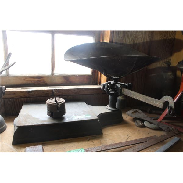 Scale with Tray and Weights