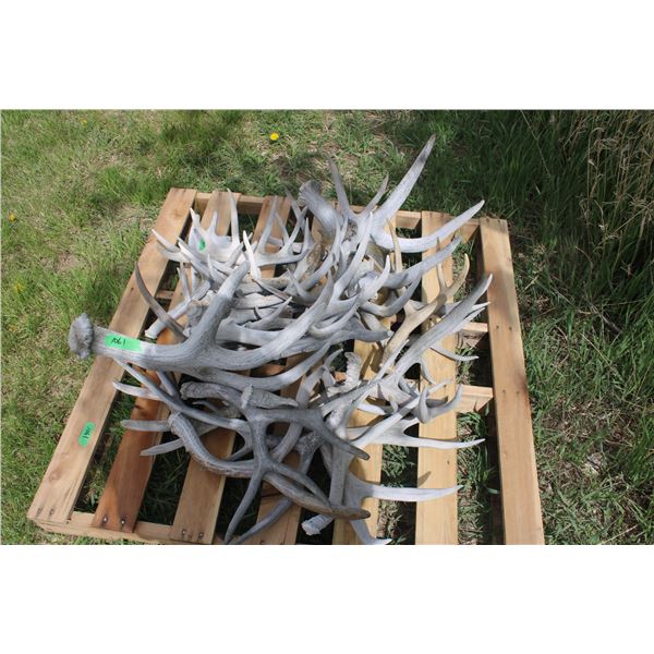 Pallet of Deer Sheds Moose Sheds (Well Aged)