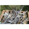 Image 3 : Pallet of Deer Sheds Moose Sheds (Well Aged)
